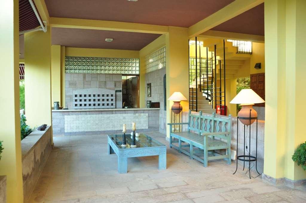 Ayvalı パーム コート スイーツ アイバリク Bed & Breakfast 設備 写真
